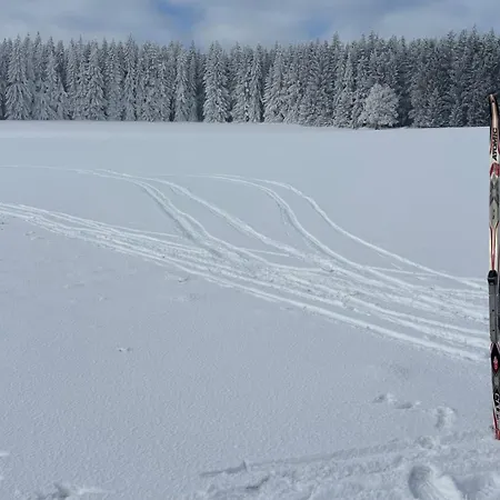 Bobrštajn Prázdninový dům Žacléř