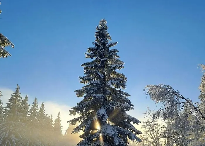 Bobrstajn Жаклерж