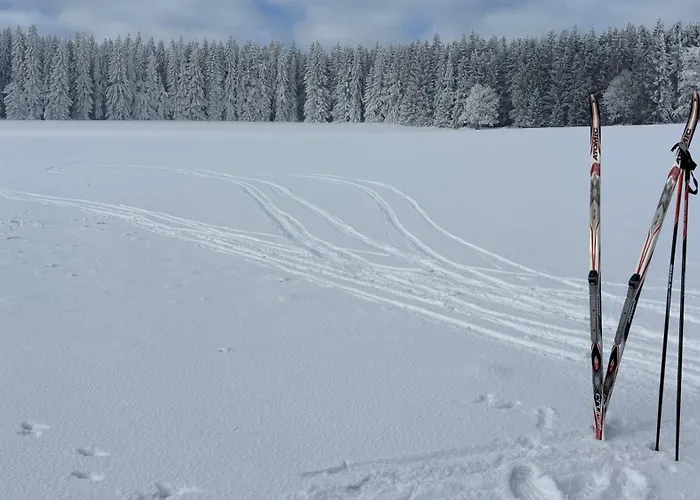 Bobrstajn Semesterbostad Žacléř